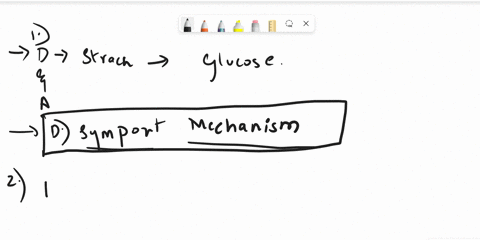 q1-the-digestion-and-absorption-of-starch-involves-hydrolysis-to-glucose-a-followed-by-an-antiport-mechanism-of-absorption-b-followed-by-phosphorylation-and-absorption-of-the-glucose-phospha-77068