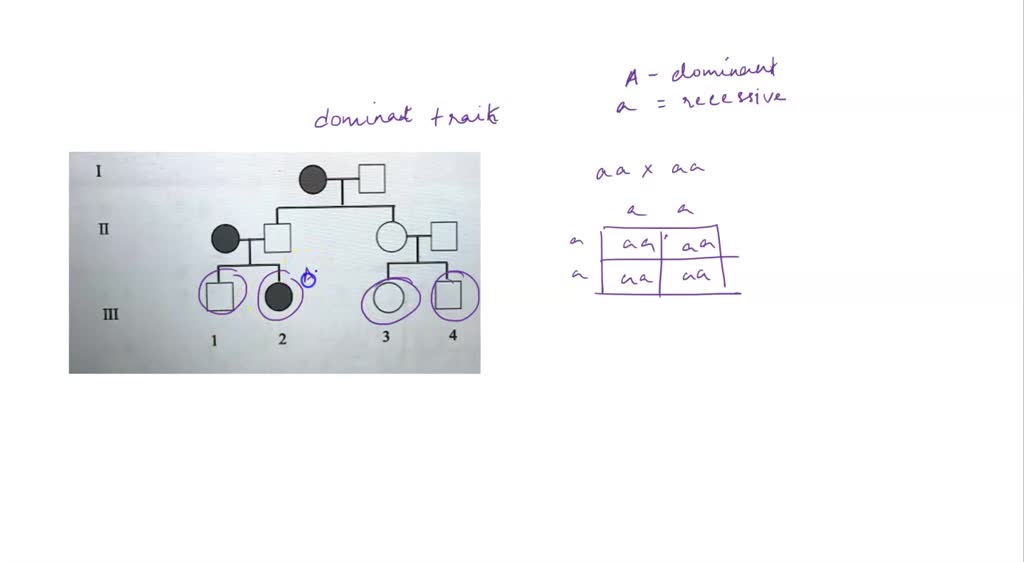 SOLVED: 5) The pedigree below shows the inheritance of a dominant trait ...
