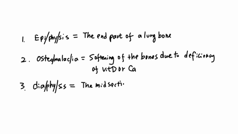 break-down-the-word-by-drawing-a-line-between-the-prefix-if-present-root-word-and-suffix-then-give-the-meaning-of-the-following-words-example-endocarditis-endocarditis-inflammation-of-the-en-02427