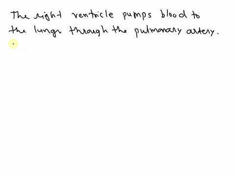 when-the-right-ventricle-is-pumping-to-the-lungs-which-valve-is-there-14276