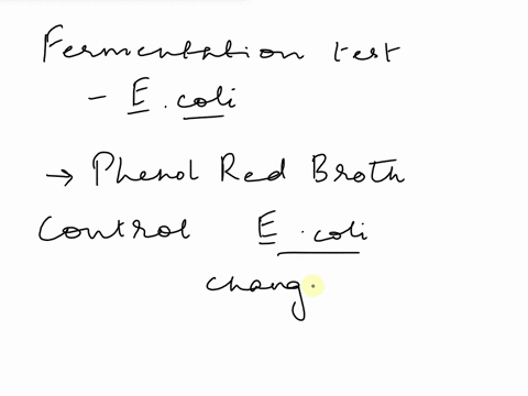 youinoculated-one-phenol-red-broth-containing-fructose-incubating-at-25c-for-48-hours-with-e-coli-after-conclude-about-this-you-get-the-following-result-right-what-can-you-are-able-to-ooanis-15325
