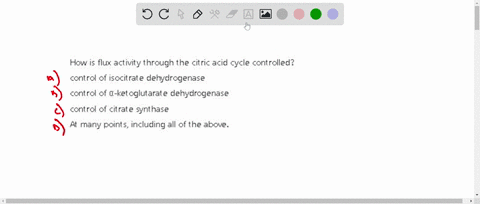how-is-flux-activity-through-the-citric-acid-cycle-controlled-control-of-isocitrate-dehydrogenase-control-of-ketoglutarate-dehydrogenase-control-of-citrate-synthase-at-many-points-including-00999