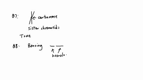 question-7-the-two-sister-chromatids-were-formed-by-dna-replication-of-a-single-chromatid-true-false-question-8-barring-mutation-the-two-sister-chromatids-must-be-identical-true-false-53847