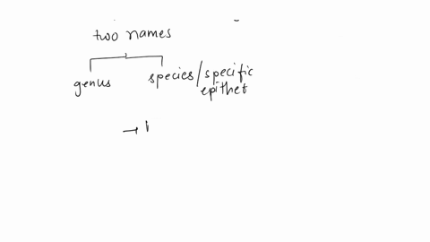 what-two-terms-are-used-for-an-organisms-binomial-name-10271