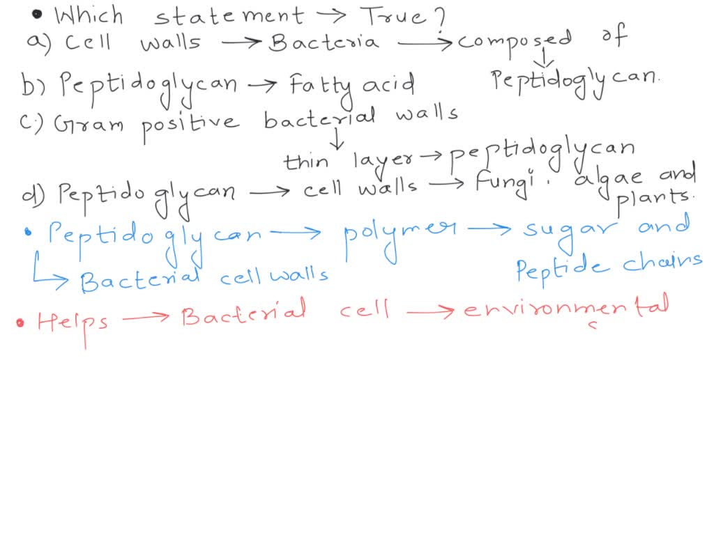SOLVED Which of the following statements regarding peptidoglycan is