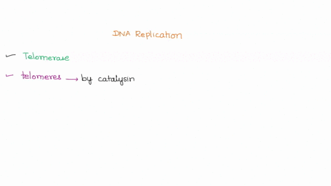 what-is-one-enzyme-that-is-involved-with-dna-replication-and-how-would-the-absence-of-this-enzyme-affect-replication-of-both-prokaryotic-and-eukaryotic-dna-23299