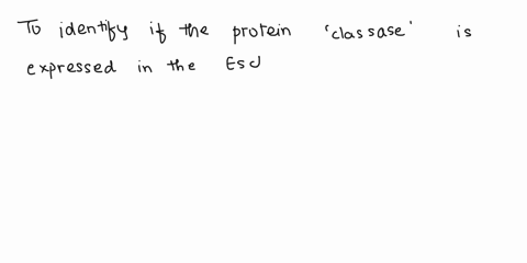 in-class-assignment-work-in-groups-2-3-students-per-group_-100-points-write-down-your-answers-and-everyone-turns-it-in-you-are-working-in-a-lab-and-have-grown-an-escherichia-coli-culture-ove-40843