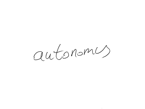childrens-increasing-ability-to-regulate-themselves-to-take-responsibility-and-to-exercise-self-control-all-contribute-to-their-sense-of-peer-values-autonomy-egocentrism-conservation