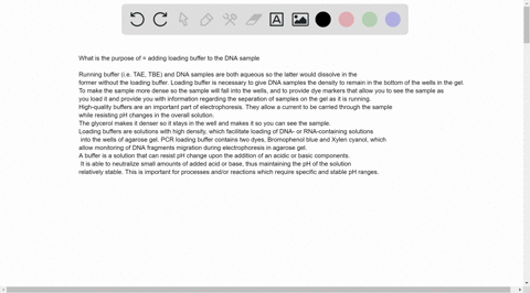 what-is-the-purpose-of-adding-loading-buffer-to-the-dna-sample-2-points-what-is-the-purpose-of-the-dna-size-standard-during-gel-electrophoresis-1-polnt-how-can-you-tell-that-current-is-flowi-79464