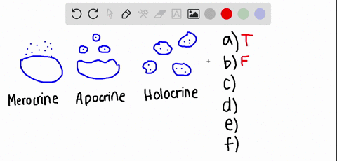 write-t-in-the-answer-blank-if-the-statement-is-true-if-a-statement-is-false-correct-the-underlined-words-by-writing-the-correct-words-in-the-answer-blank-10-marks-exocrine-glands-are-classi-64458