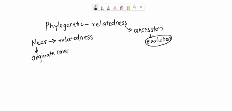 ue-thephybgenetic-tree-below-to-answer-this-question-each-terminal-taxon-is-single-species-each-singk-letter-indicates-a-character-state-change-uu-in-thc-phylogenetic-tree-above-specics-xx-i-19563