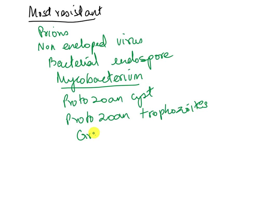 SOLVED Place the following microbes in order of least to most