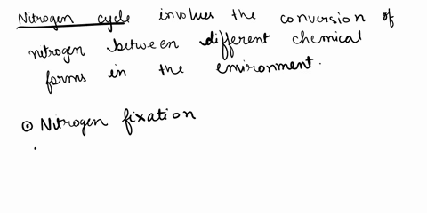 what-do-u-meant-by-nitrogen-cyclename-the-process-of-nitrogen-cycle-64178