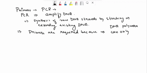 why-do-you-require-primers-for-dna-polymerase-to-amplify-dna-2-replication-requires-rna-polymerase-called-primase_-why-do-you-not-require-it-in-pcr-3in-replication-the-function-of-the-denatu-44228