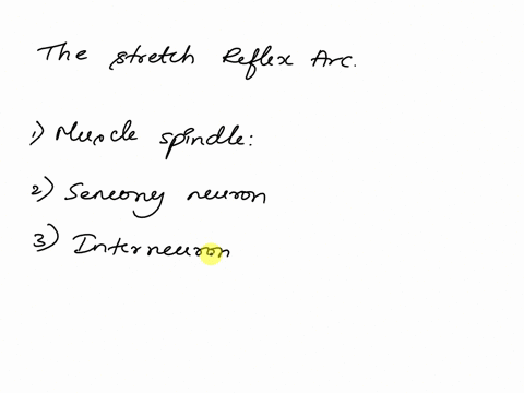 find-an-example-of-a-neural-circuit-this-could-involve-motor-neurons-sensory-neurons-reflexes-etc-draw-a-picture-illustrating-the-key-components-of-the-circuit-and-explaining-how-it-function-31643