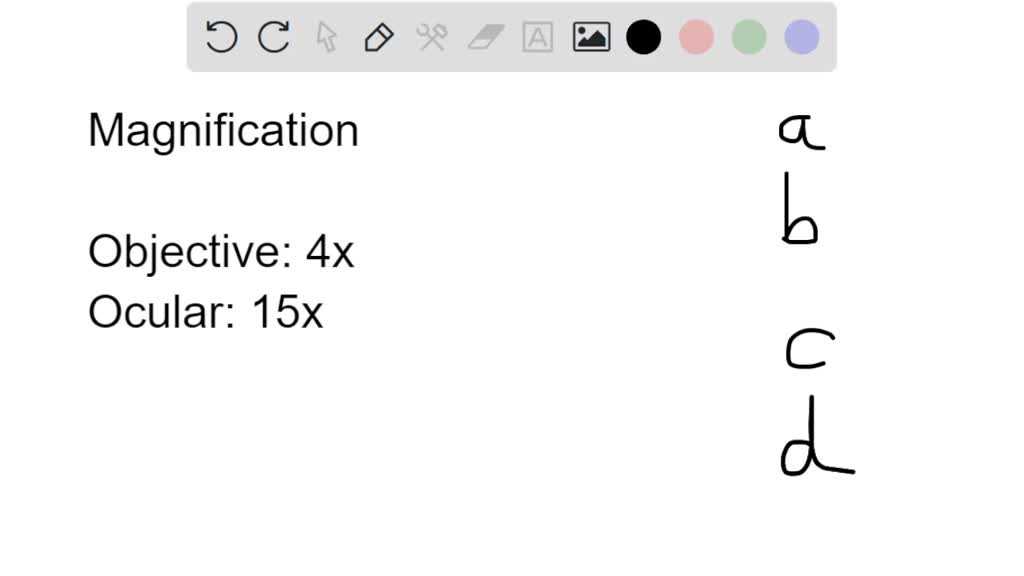 SOLVED Under which [total] magnification can you no longer see the