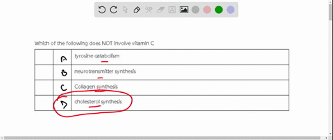 which-of-the-following-does-not-involve-vitamin-c-tyrosine-catabolism-neurotransmitter-synthesis-collagen-synthesis-cholesterol-synthesis-93703
