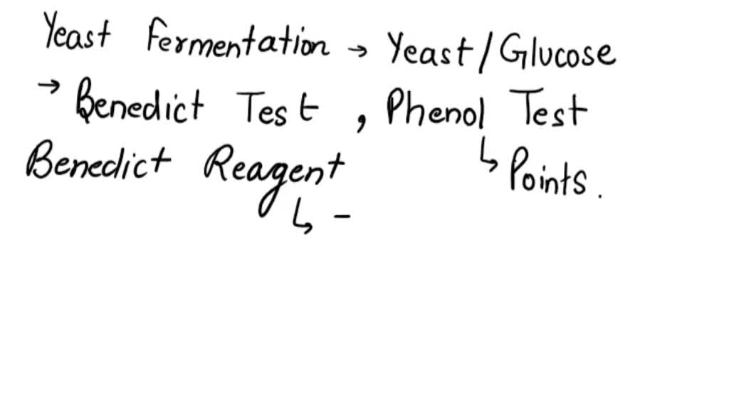 SOLVED You repeat the yeast fermentation experiment by placing yeast