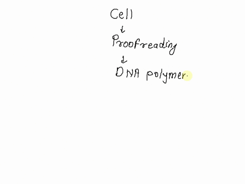 what-strategies-do-cells-use-to-ensure-that-newly-replicated-dna-does-not-contain-errors-enzymes-proofread-the-dna-after-the-dna-has-been-replicated-and-replace-any-mismatched-nucleotides-as-83323