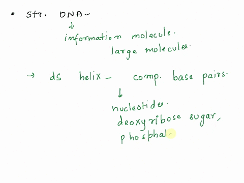what-is-the-structure-of-dna-briefly-describe-two-experiments-or-pieces-of-evidence-that-helped-us-understand-the-structure-of-dna-18864