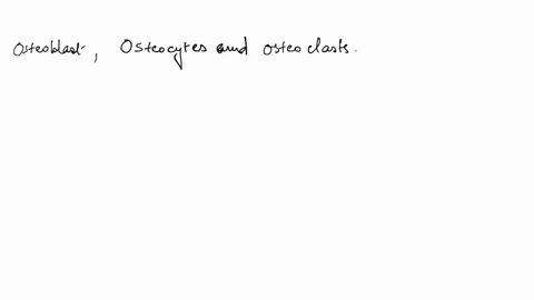 what-are-osteoblasts-osteoclasts-and-osteocytes-describe-bone-remodeling-in-a-healthy-person-and-in-a-person-with-osteopenia-or-osteoporosis-what-causes-osteoporosis-and-what-problems-does-o-49447