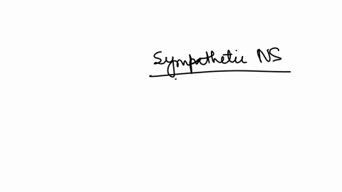 if-a-person-needs-to-run-away-from-a-dangerous-situation-the-________-nervous-system-sends-blood-to-the-persons-extremities-to-prepare-him-or-her-for-taking-off-central-somatic-sympathetic-parasympath
