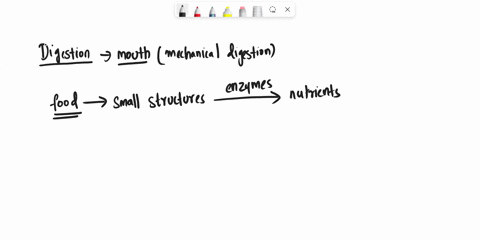 which-of-the-following-is-an-incorrect-pairing-a-norepinephrine-dilates-the-pupil-b-epinephrine-incr-20364