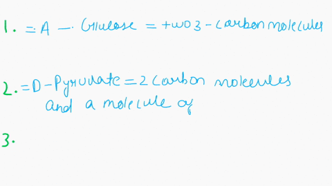 put-the-following-events-of-cellular-respiration-in-the-correct-order-drag-and-drop-to-order-molecules-are-transported-from-the-cytosol-to-the-inner-mitochondrial-matrix-glucose-is-calaboliz-42308