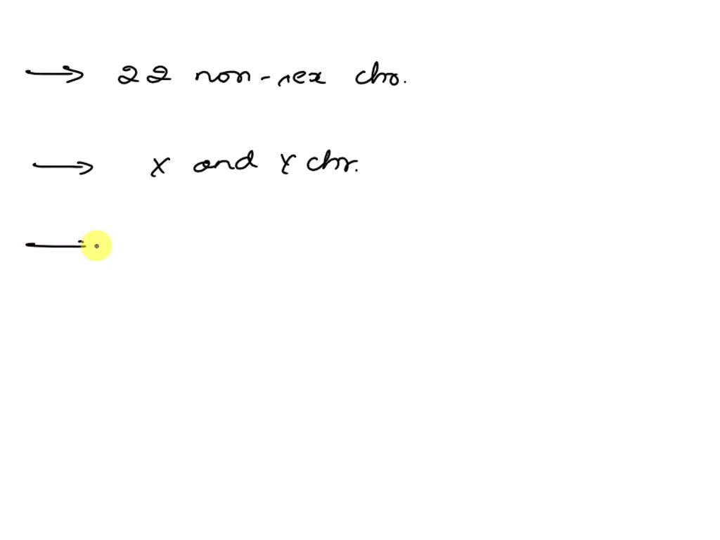 SOLVED: It can be said with certainty that if you are normal (irrespective  of your sex), you inherited: A) 22 non-sex chromosomes and 1 Y chromosome  from your father B) 22 non-sex