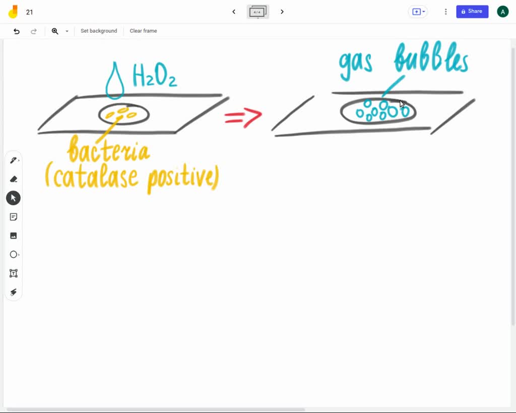 SOLVED: 1. Write Out The Chemical Reaction That Is Occurring When You ...