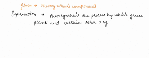what-three-things-are-needed-for-a-plant-to-carry-out-photosynthesis-glucose-oxygen-sunlight-co2-oxygen-sunlight-co2-water-sunlight-oxygen-water-sunlight-question-1-8-pts-what-three-things-a-56655
