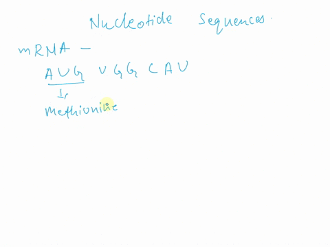 the-following-amino-acid-sequence-is-found-in-a-tripeptide-mettrpasp-give-all-possible-nucleotide-sequences-on-the-mrna-on-the-template-strand-of-dna-and-on-the-non-template-strand-of-dna-th-98326