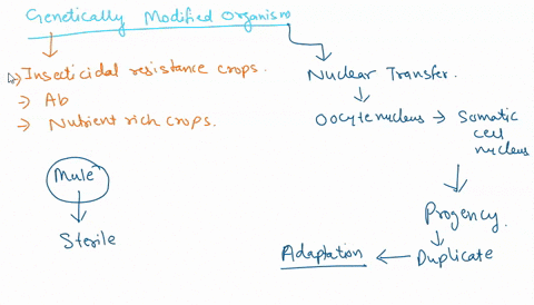 in-200-words-write-a-refutation-in-reply-to-the-counter-argument-below-although-there-are-quite-a-few-benefits-to-using-gmos-on-crops-there-are-in-turn-negatives-to-using-such-a-method-it-in-45386