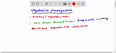 asexual-reproduction-in-the-plant-is-known-as-vegetative-propagation-true-false-88564