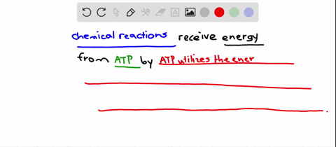 how-does-atp-supply-energy-to-chemical-reactions-a-atp-dissociates-and-the-energy-released-by-breaking-of-a-phosphate-bond-within-atp-is-used-for-phosphorylation-of-another-molecule-atp-hydrolysis-a-3
