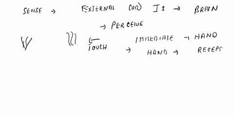 which-of-the-following-is-false-about-sensation-group-of-answer-choices-sensation-refers-to-the-way-sensory-information-is-organized-interpreted-and-consciously-experienced-we-have-a-sensory-50952