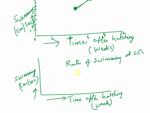 graphs-for-each-number-1-working-with-the-short-lived-fish-nothobranchius-furzeri-researchers-tested-the-effect-of-temperature-on-a-variety-of-aspects-of-this-animals-life-one-aspect-was-how-95373
