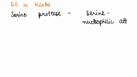 in-the-serine-protease-mechanism-select-residue-makes-nucleophilic-attack-on-the-carbonyl-carbon-of-the-peptide-bond-that-will-be-hydrolyzed-it-is-deprotonated-by-nearby-select-residue-which-08486