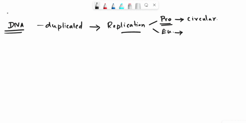 which-statement-about-dna-replication-is-true-a-eukaryotes-only-have-one-circular-chromosome-that-unwinds-at-multiple-locations-b-prokaryotes-only-have-one-origin-of-replication-to-initiate-71714