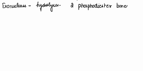 question-32-which-enzymes-are-specific-for-nucleotide-excision-repair-and-which-work-in-both-normal-dna-replication-and-in-dna-repair-there-arc-no-sharcd-cnzymcs-in-dna-replication-and-dna-r-85397