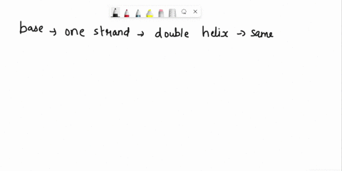 dna-replication-is-facilitated-by-the-fact-that-the-base-on-one-strand-of-the-double-helix-t-for-example-always-has-the-same-partner-a-in-this-case-on-the-other-strand-this-feature-of-dna-is-77713