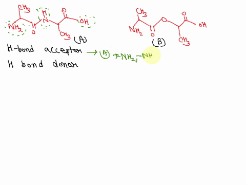 antibiotic-resistance-is-growing-problem-the-antibiotic-vancomycin-binds-via-hydrogen-bonding-d-ala-d-ala-which-is-part-of-an-intermediate-in-bacterial-cell-wall-biosynthesls-please-indicate-16337