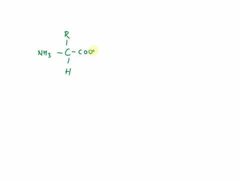 please-draw-a-dipeptide-bond-and-label-the-amino-groups-amino-terminal-end-carboxyl-groups-carboxyl-terminal-end-carbonyl-group-peptide-bond-r-groups-or-sidechains-alpha-carbon-and-carbonyl-23859