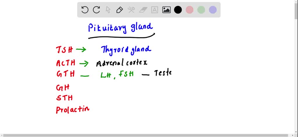 the adrenal cortex secretes all of the following hormones except