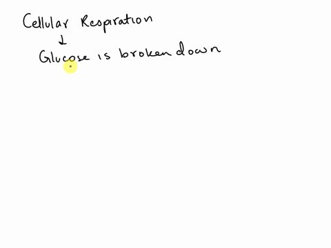 when-molecules-are-broken-apart-in-respiration-a-the-heat-produced-is-used-to-drive-biological-reactions-b-the-oxygen-in-the-compounds-that-are-broken-apart-is-used-as-an-energy-source-c-the-36114