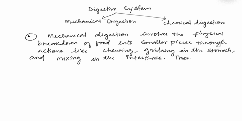 in-paragraph-formcompare-and-contrast-mechanical-vs-chemical-digestion-82585