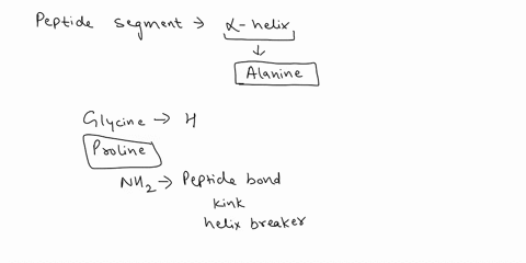 which-peptide-segment-is-most-likely-to-be-part-of-a-stable-helix-at-physiological-ph-gly-arg-lys-his-gly_-gly-gly-gly-ala-gly-pro-leu-thr-pro-trp-glu-leu-ala-lys-phe-lys-lys-ala-arg-ser-glu-42477