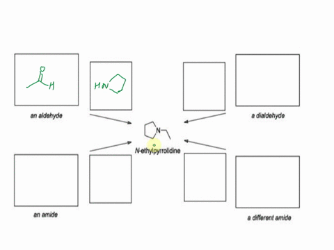 show-how-the-3-amine-shown-below-can-be-synthesized-in-single-step-from-an-aldehyde-dialdchyde-and-two-different-amides-an-aldehyde-dialdehyde-n-ethylpyrrolldine-an-amide-different-amide-31892