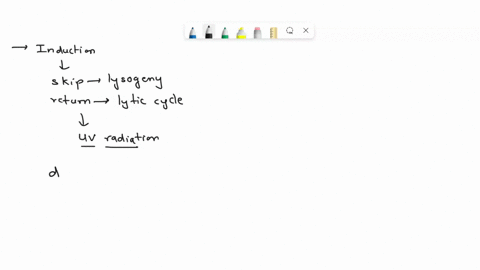 phage-are-able-to-exit-lysogeny-and-return-to-the-lytic-cycle-in-response-to-extracellular-signals-this-process-is-called-induction-this-switch-from-lysogeny-to-the-lytic-cycle-is-most-often-44753