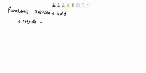 infer-why-dont-purebred-animals-exist-in-the-wild-84596